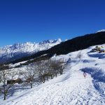 uttarakhand