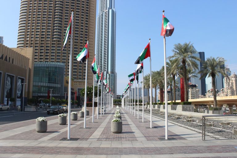 UAE Announced, Offering citizenship to foreigners and professionals