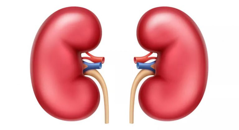 Long time use of painkillers may affect your kidneys