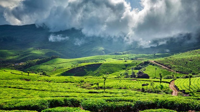amazing spring destinations