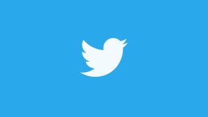 Twitter Verification