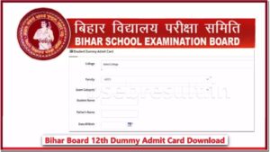 Dummy Admit Card