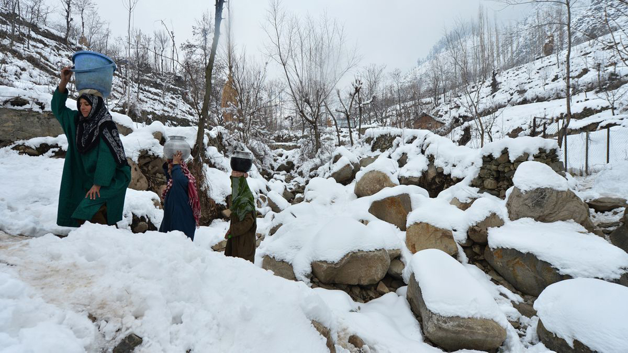 Kashmir Cold