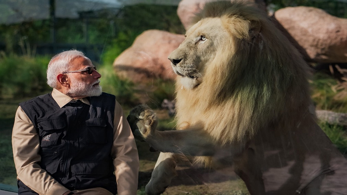 PM Narendra Modi inaugurates and visit Vantara wildlife conservation center