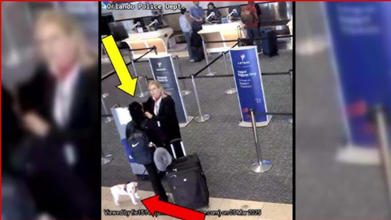 Woman Arrested for