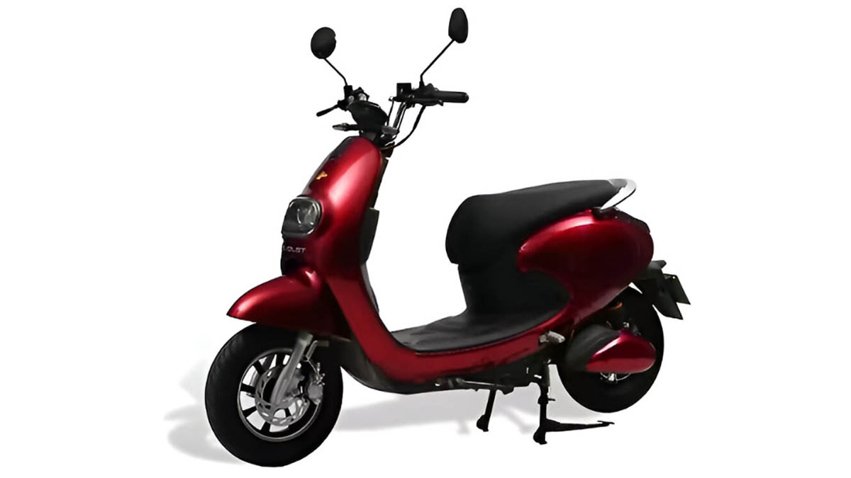 Evolet Pony Classic.jpg