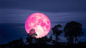 Strawberry Moon 2025