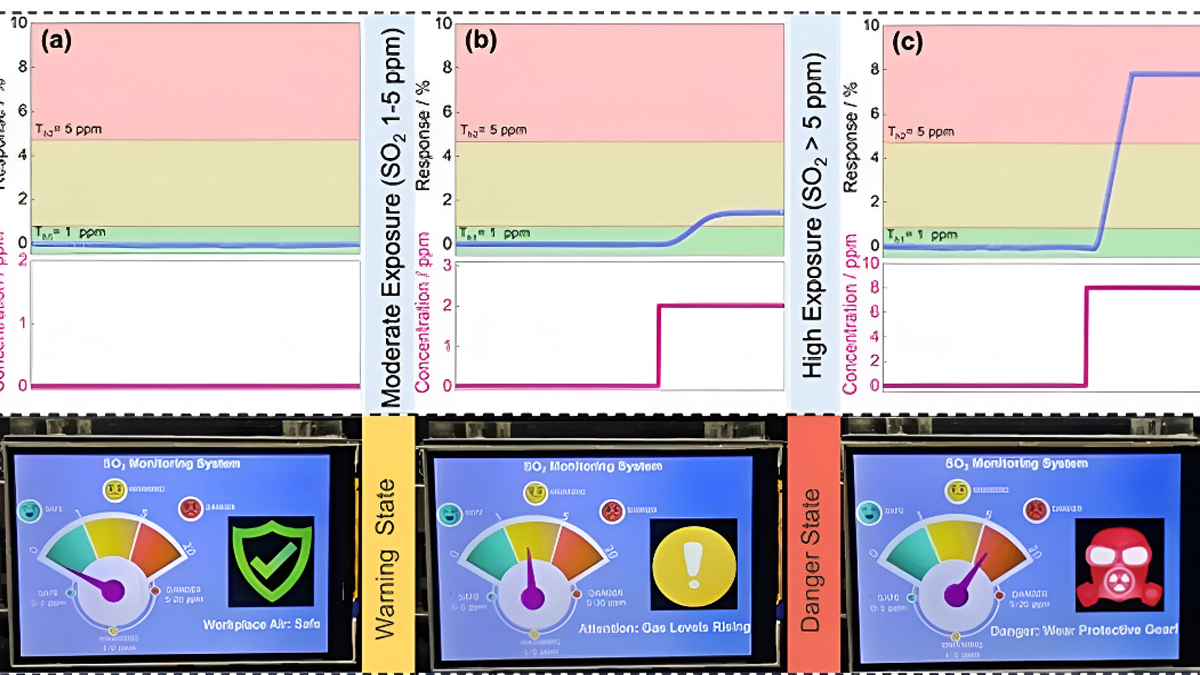 New Pocket-Sized Sensor Revolutionizes Early Detection of Asthma and Lung Damage from Sulphur Dioxide