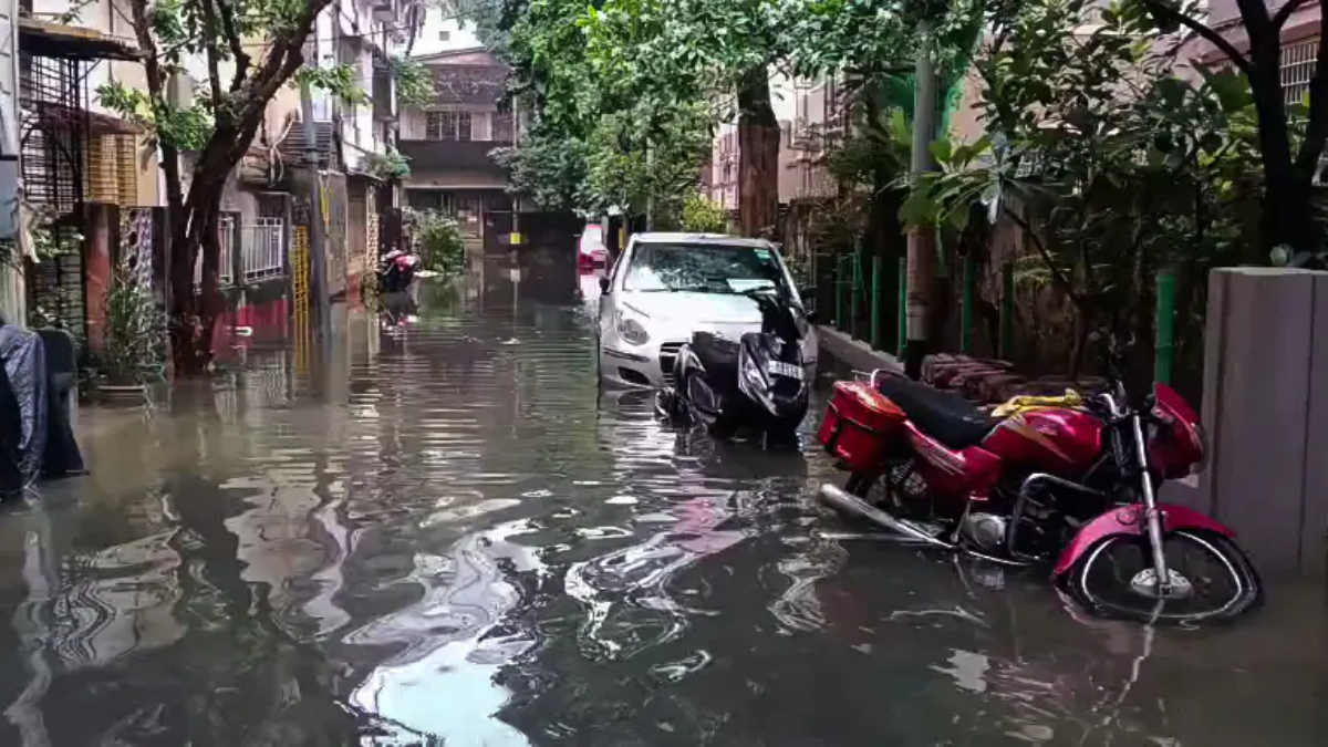 Amid Kolkata's Flood Chaos, A Snake's Feast Sparks Hilarious Viral Moment