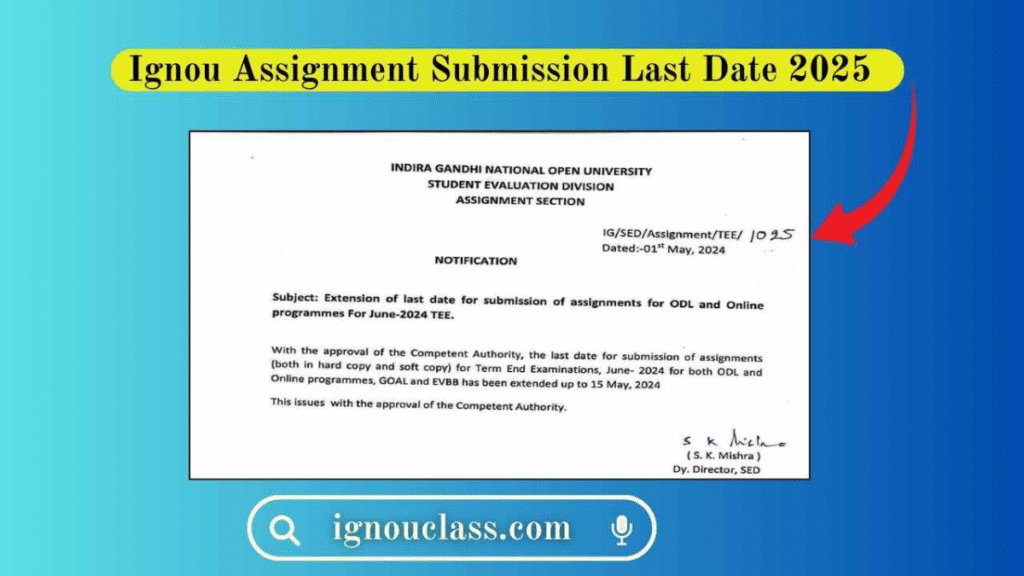 Term-End Examinations (TEE),