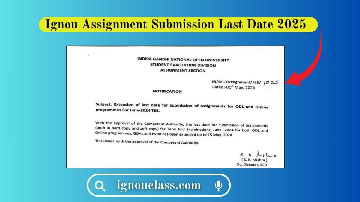 Term-End Examinations (TEE),