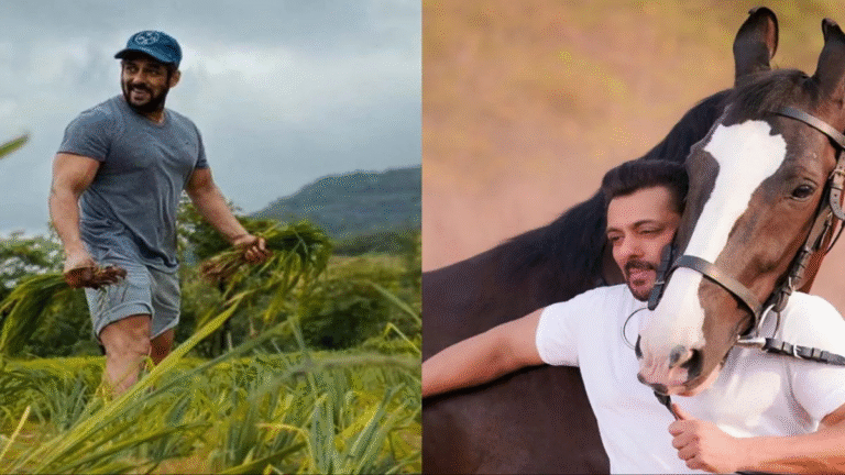 Salman Khan' $80-Crore Panvel Farmhouse