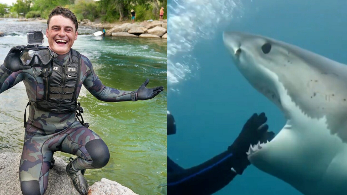YouTuber Jake Koehler Not Killed in Shark Attack