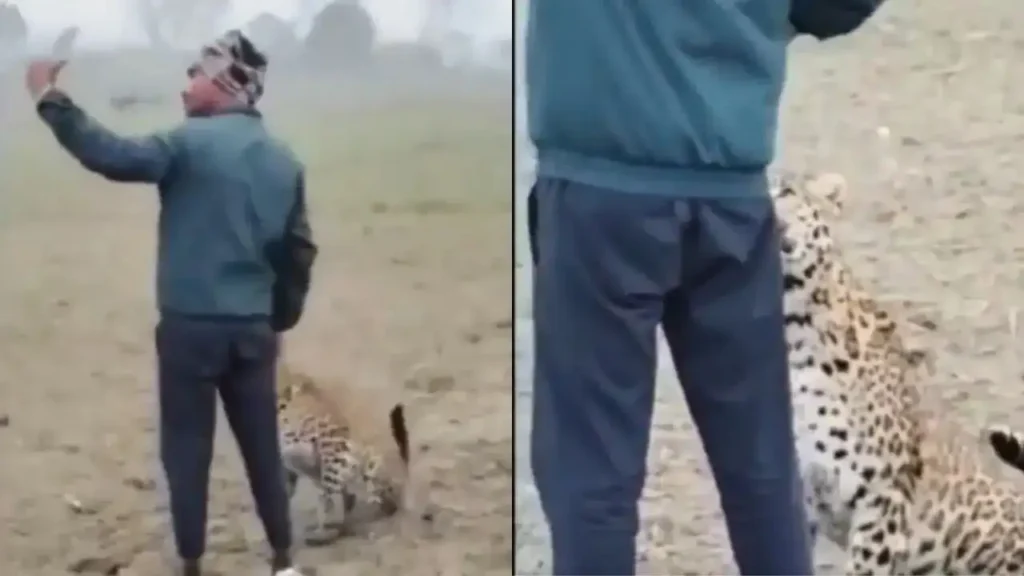 Wild Risk: Man Attempts