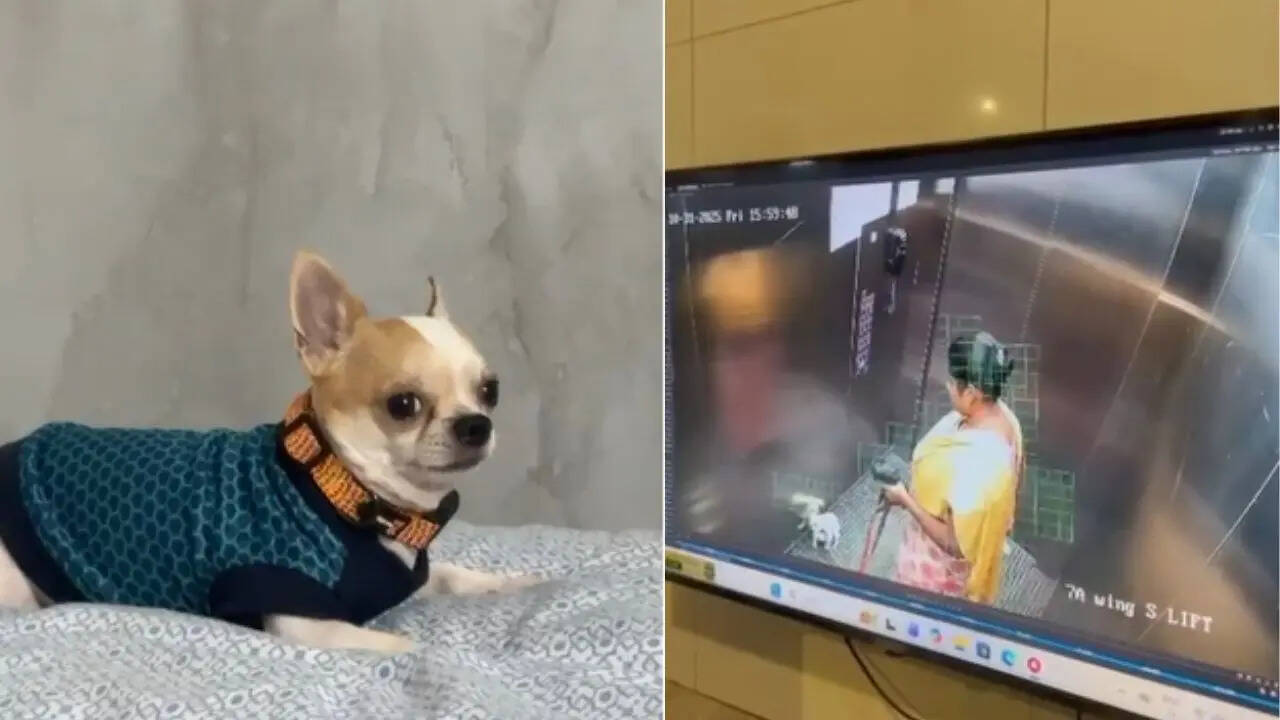 Cruelty Exposed: Pet Dog