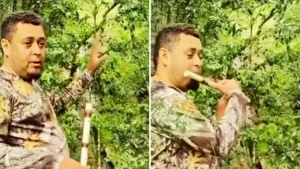 Flute Melody Sparks Nature