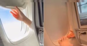 Passenger's Fight with Toddler