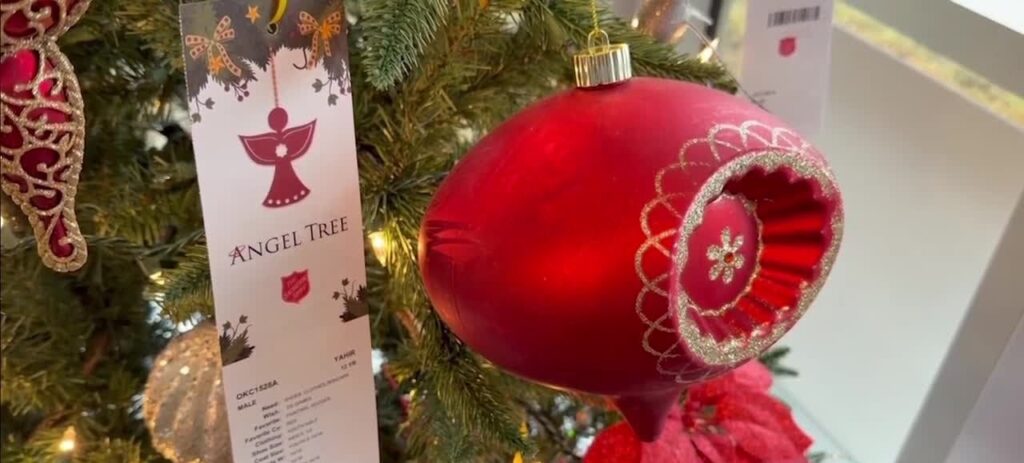 Viral Videos Fuel Angel