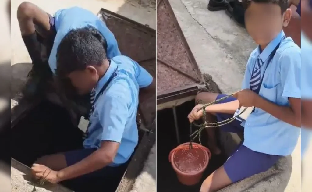 Students Assist in School