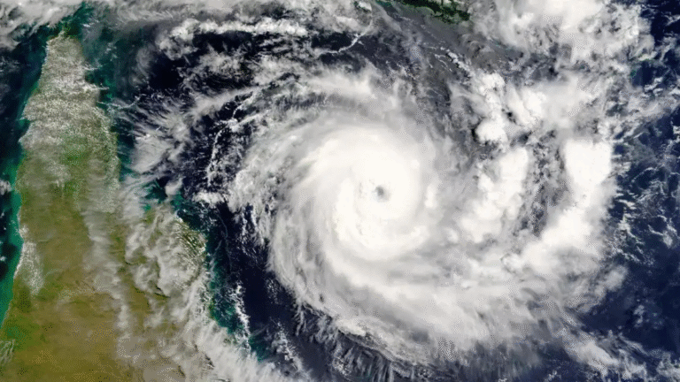 Cyclone Ditwah Forms