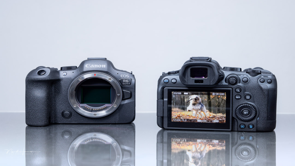 Canon EOS R6 Mark III vs. EOS R6 Mark II