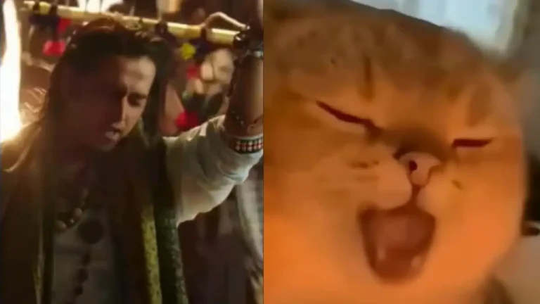 'Yapapa' Cat Sings 'Afghan