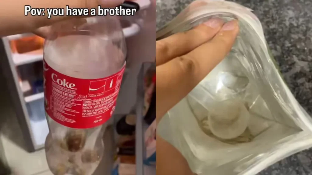 Viral Video Captures Brothers'