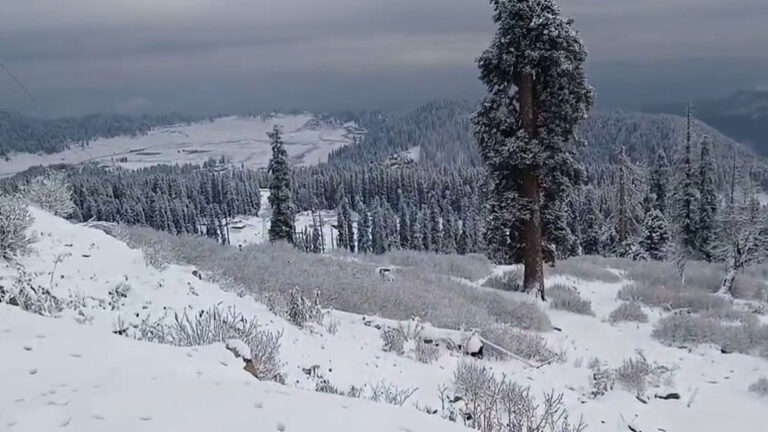 Gulmarg Drapes in White