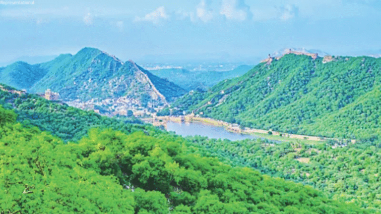 Aravalli Protection