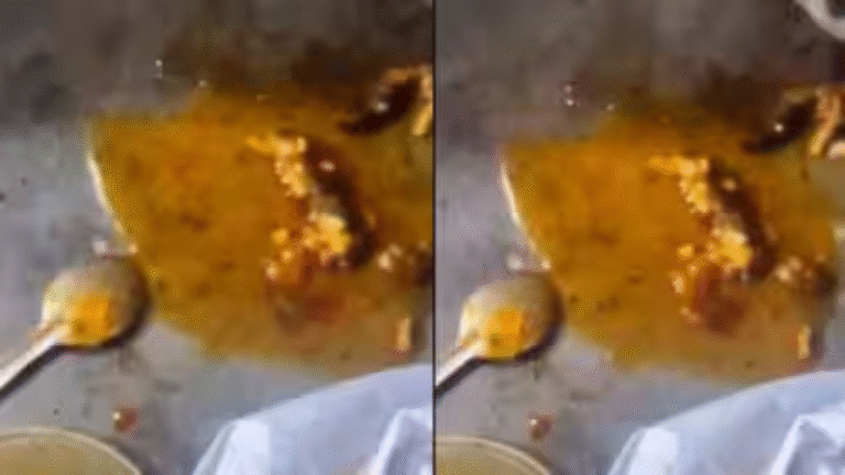 Dead Lizard in Curry: Meerut Man Hospitalized Food