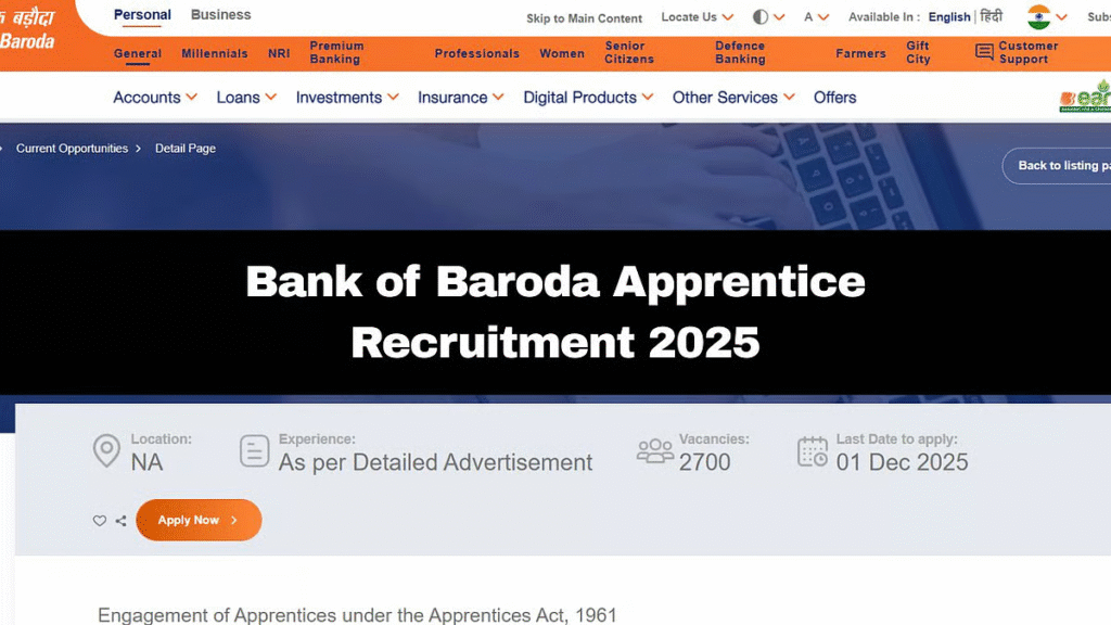 BOB Apprentice 2025: