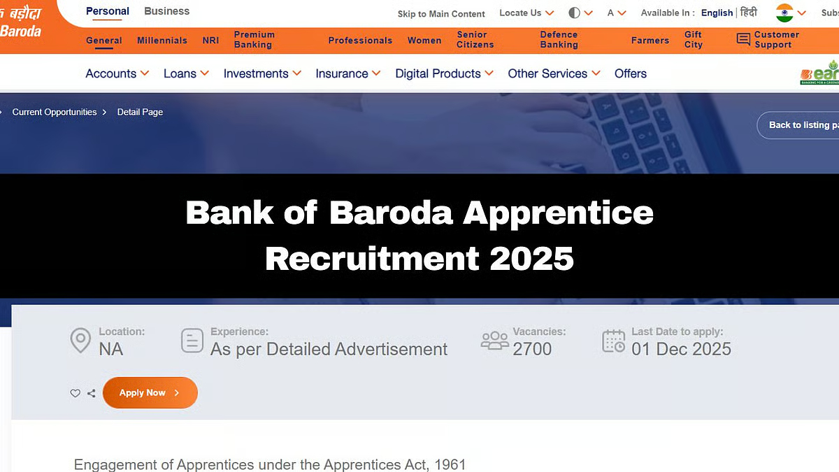 BOB Apprentice 2025: