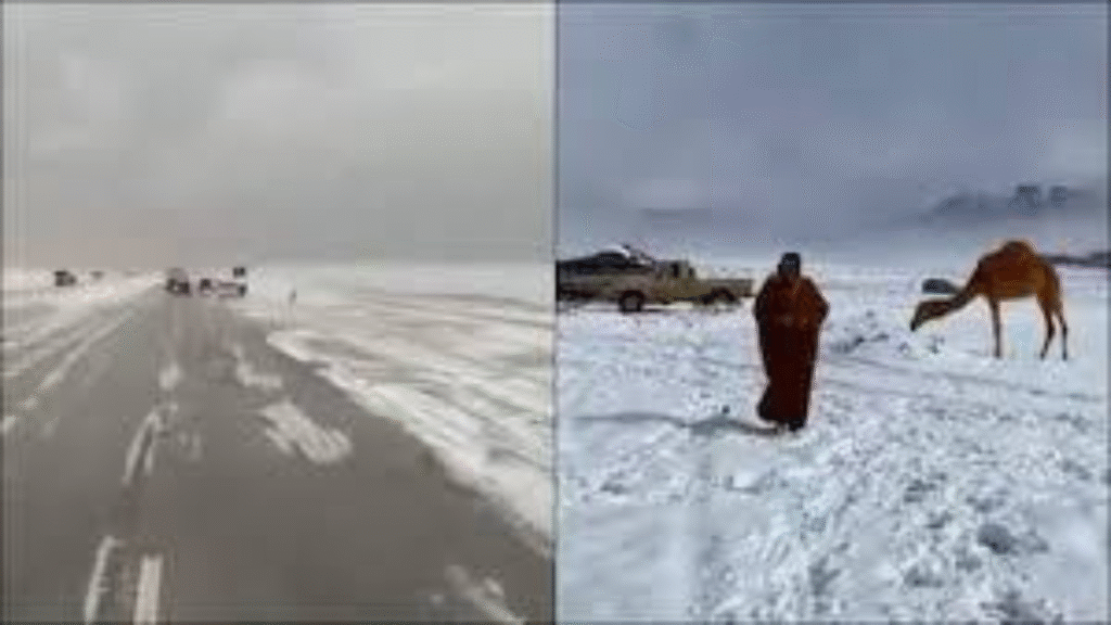 Snow in Saudi: A Rare Winter Wonder