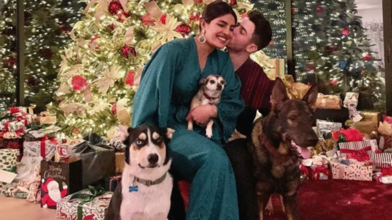 Nick Jonas and Priyanka Chopra