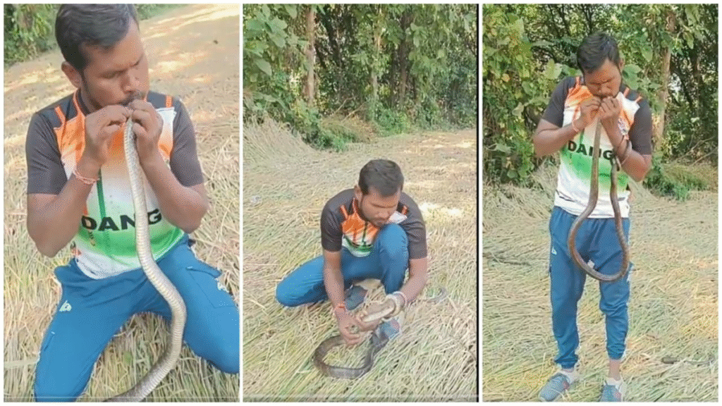 Gujarat Man Gives CPR to Revive Snake