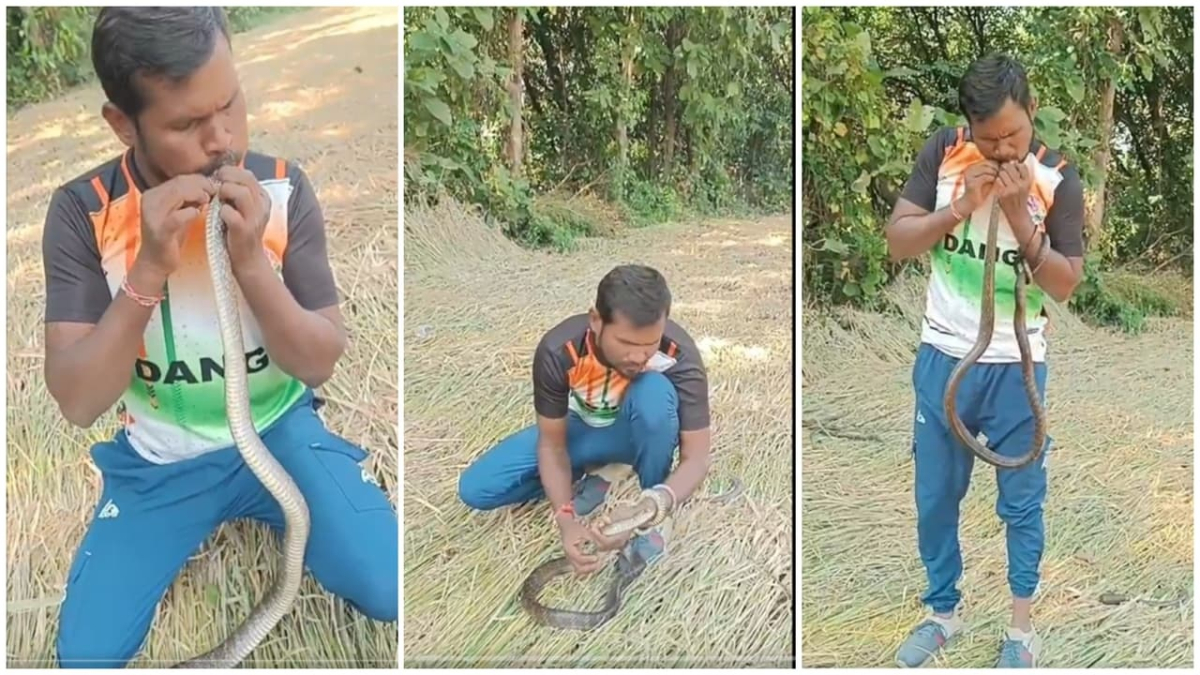Gujarat Man Gives CPR to Revive Snake