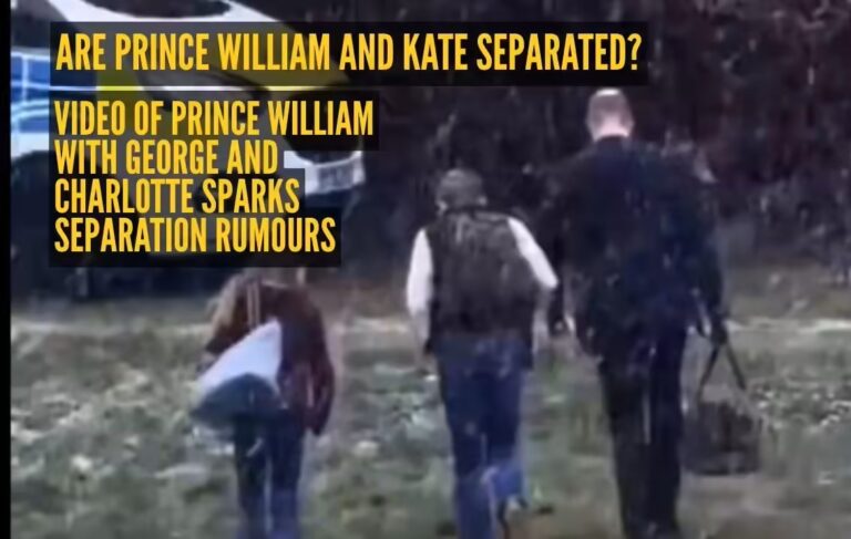 Viral Video Sparks ‘Co-Parenting’ Rumors for the Waleses