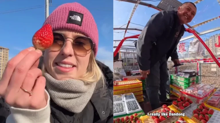 The Mystery of China’s “Creamy” Strawberries