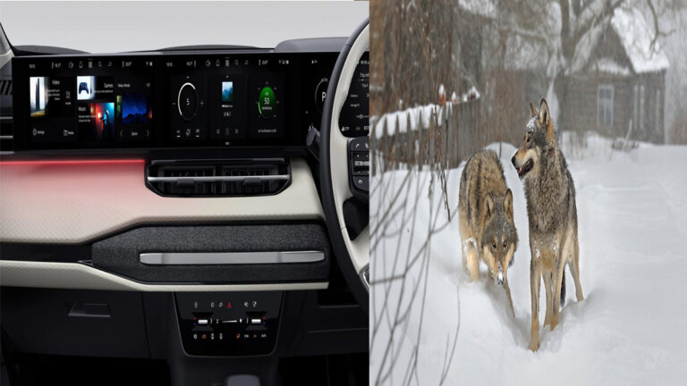 Resilience & Innovation: From Chernobyl Wolves to India Tech Giants