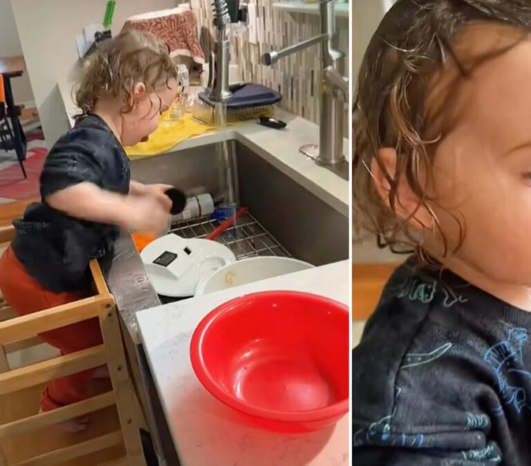 A Splash of Surprise: The Viral Kitchen Helper