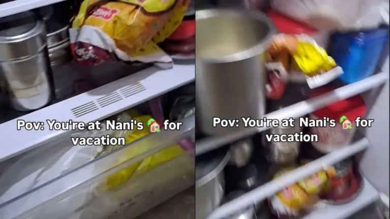 Nani’s Overloaded Refrigerator Becomes