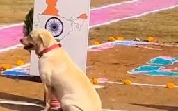 ‘Fur Ball’ Chooses India