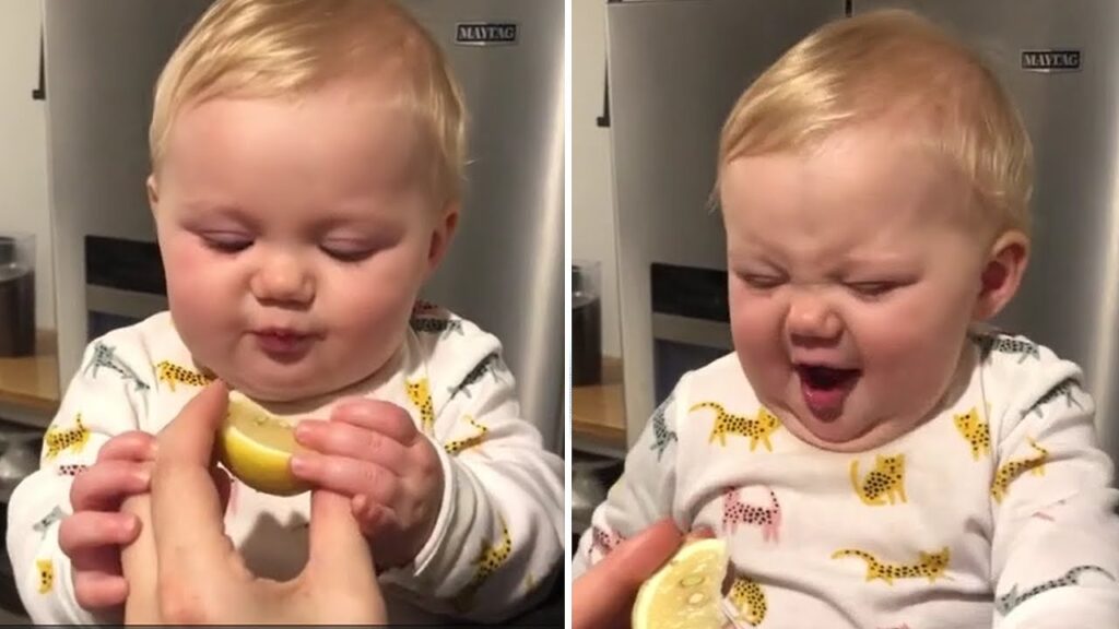 Baby’s First Lemon Taste