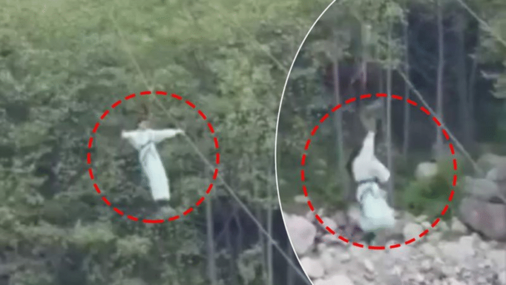 Himachal Crash Viral Video