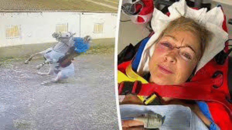 Unexpected “Bird Strike”: Pigeons Cause Dramatic Show-Jumping Fall
