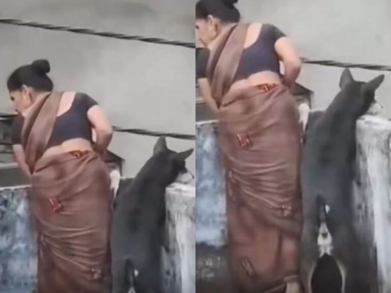 Viral Video of Dog Watching Neighborhood Feud