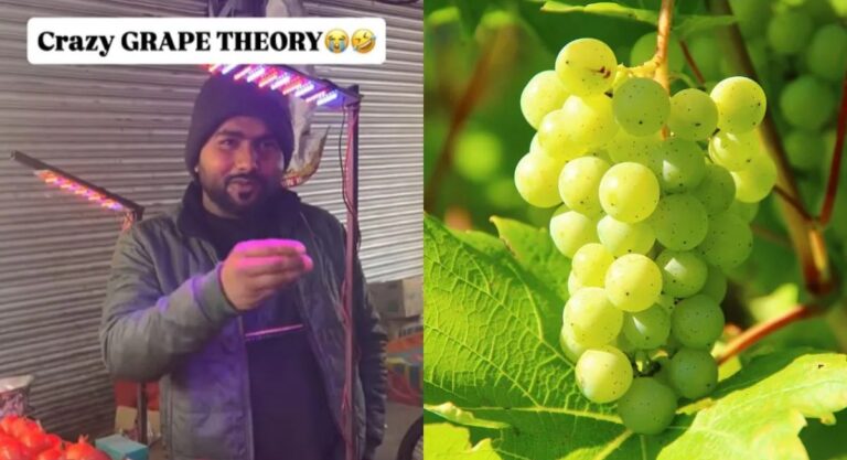 Why Green Grapes Vanished