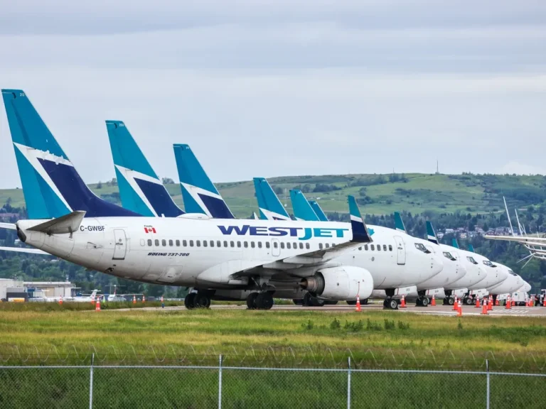 Viral WestJet Seating Video Sparks National Safety Debate