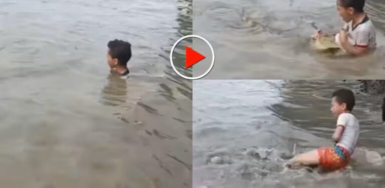 Toddler Catching Live Crocodile in Water Leaves Netizens Stunned