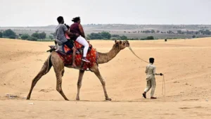 The Rise of the 'Camel Passport'